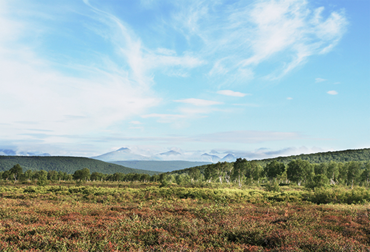 토지보상이미지
